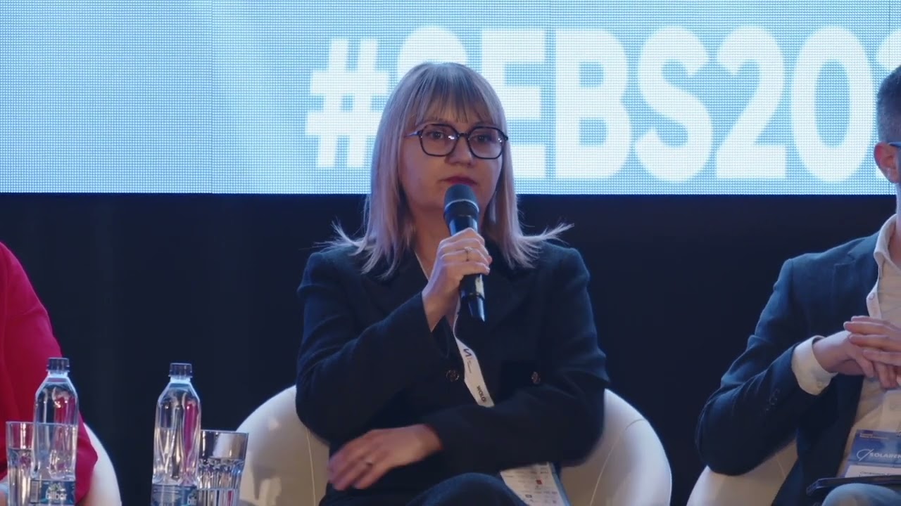 Turning Negative Prices into Profit Opportunities | Raluca Rusu