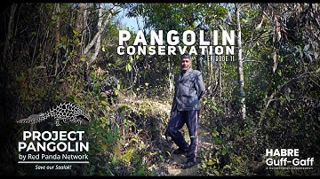 More on Pangolin Conservation E.11 | The World