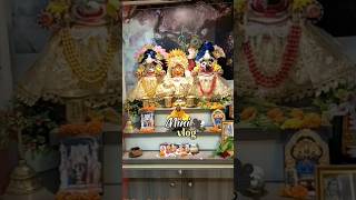 Mini vlog - 1 🪷🌿 Radhe Radhe ❤️🙏🏻🙇🏻#shorts #viral #minivlog #radheradhe #support