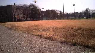 20140317 ヘリ朝練 T-REX250 GOBLIN SPEED 風 紙キャノピー