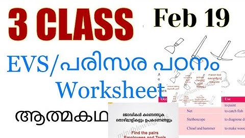 Class 3 Evs worksheet feb 19|kite |victers worksheet |3 class evs February 19 work|victers 3