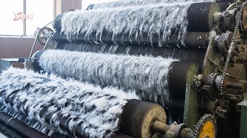 How is COTTON Made? How Does Cotton Become Clothes? Little-Known Facts About Cotton!