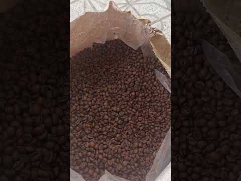 فروش و پخش انواع دان قهوه در الیگودرز آدرس مجتمع تجاری تندیس طبقه همکف متصدی سلیمانزاده۰۹۱۲۲۸۸۲۵۹۹