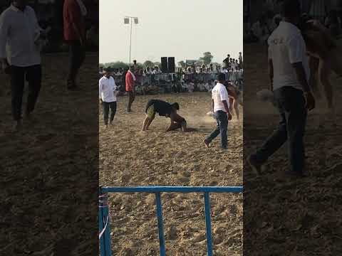 Видео: Хөшөөтэй тохижилт: Цэцэрлэгийн баримлыг үр дүнтэй ашиглах