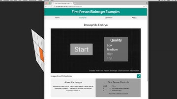 FP Bioimage Example Video