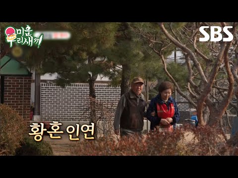 [예고] 봄날의 소개팅 이후 1년 만에 재회🙈 이옥진X임현식, 황혼 로맨스 시작?! | 미운 우리 새끼 | SBS