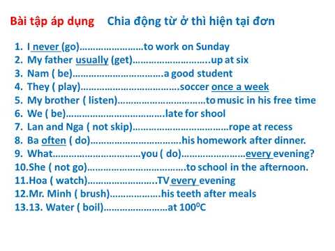 Thì hiện tại đơn ( Present simple tense)