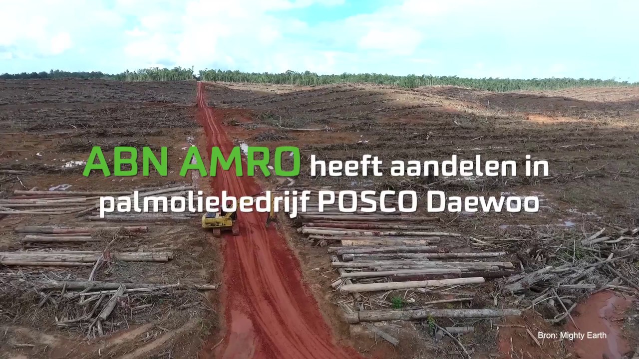 unboxing s10 plus Stop het kappen van regenwoud in Papoea met geld van ABN AMRO