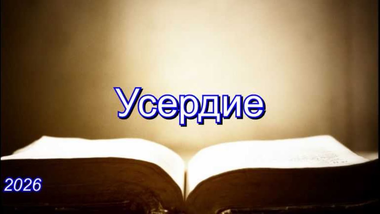 Усердие | Савчак В.И.