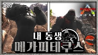 [EP.20] 아크커플 멸망코어! 내 동생 메카피테쿠스를 테이밍했습니다  [아크서바이벌 멸망모드]