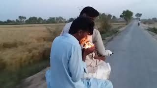 Road Trip Chak 483 EB To Chak 485 EB