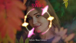 Dr. SWAG-TY MALINA 🔥Sebcio Bass Edition🔥