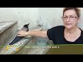 Ref:GSK4O408v2g Una cornacchia per amica