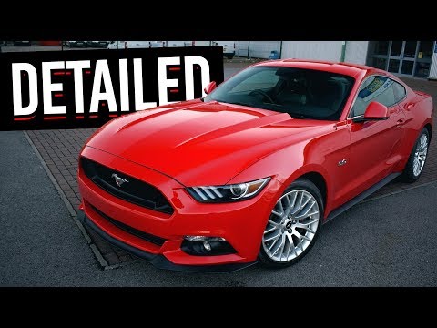NO MORE SWIRLS! My Mustang Gets Detailed