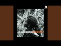 Tracy Chapman - Collection