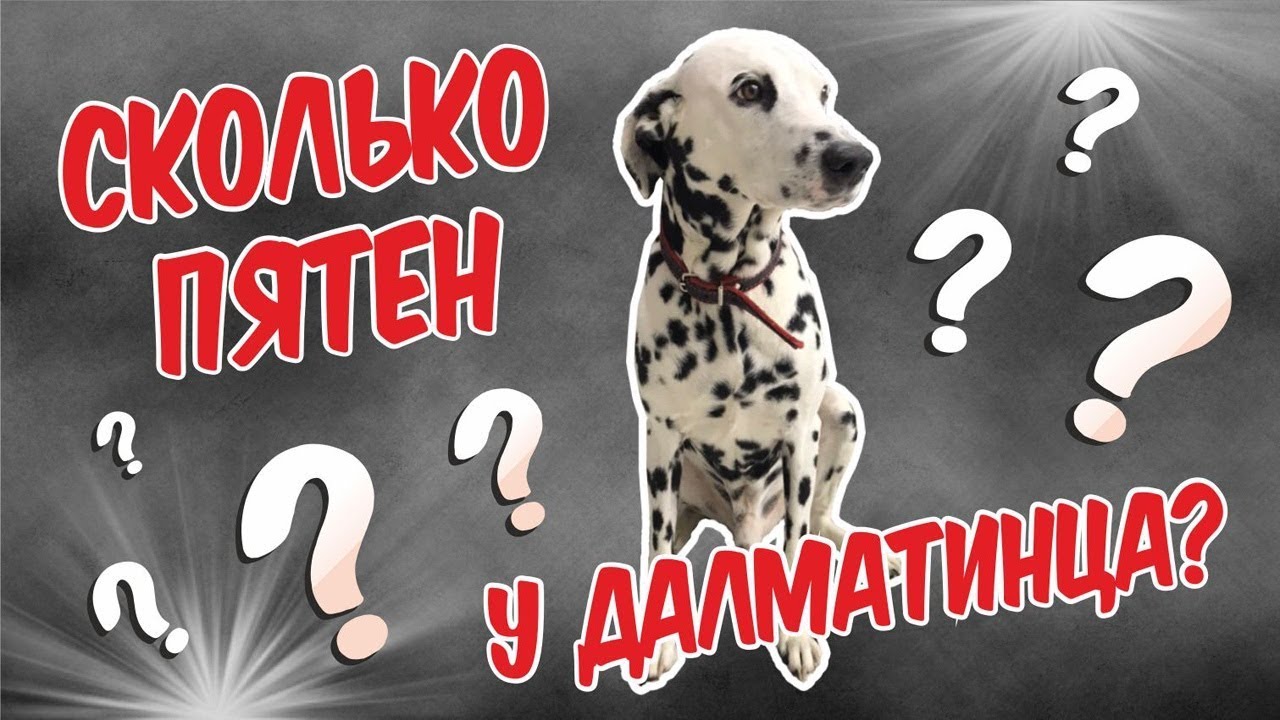 Свидание в автомобиле