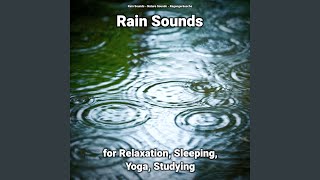 Rain Sounds Pt. 25