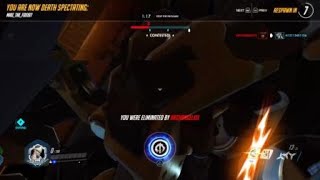 Another rein bug