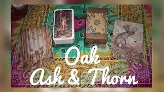 Oak, Ash & Thorn - Unboxing & Walkthrough