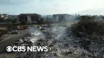Deadly Maui wildfires leave thousands of survivors homeless in Hawaii