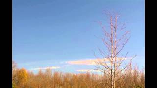 Time Lapse-Test at the Rancocas Nature Center with the Nikon D5200