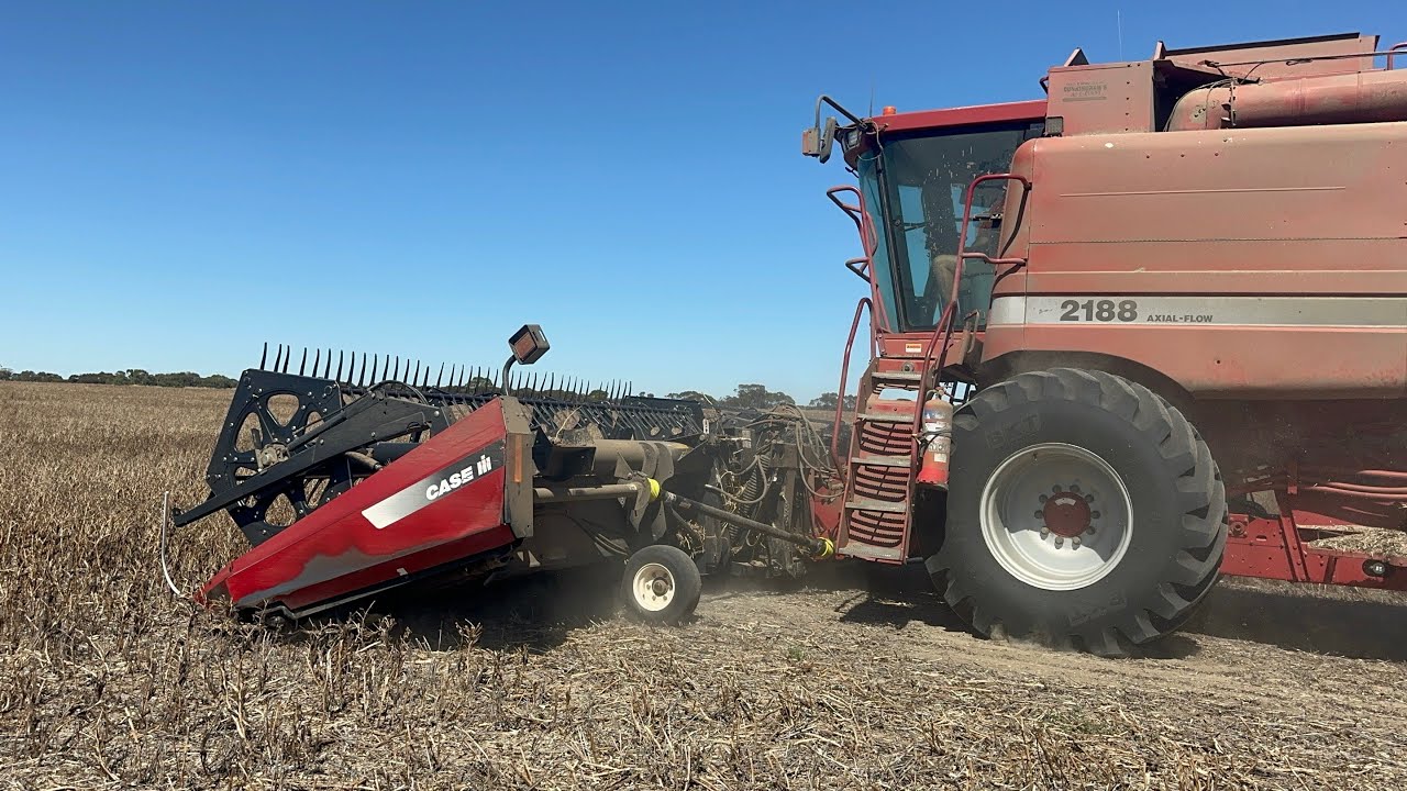 Урожай собран!✅ 6-я неделя