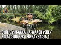 Таёжная река кишит щуками!/Рыбалка на спиннинг/Заехали на избу/Часть 1