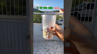 ¿Qué pasa cuando explotas 1000 cebollitas? #experimento #cebollita #explosión #cebollitas