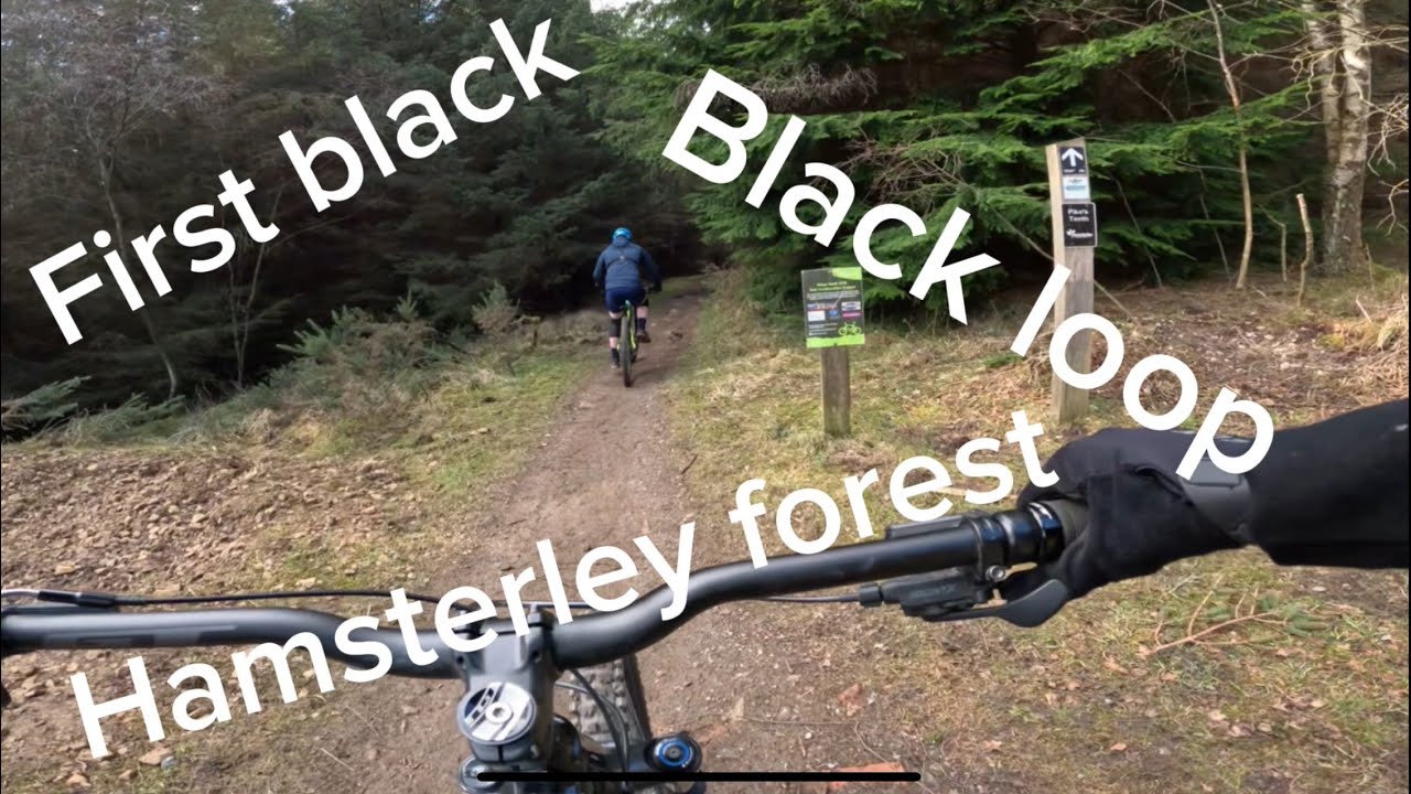 Black loop at Hamsterley forest - YouTube