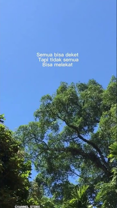 STORY WA KEKINIAN|| TERBARU 2022||STORY WA || STATUS WA KEREN||storywaVIRAL#STATUS#TAGSESEORANG🎆✨🎆✨