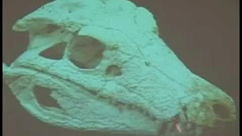 Prehistoric killer Crocodile discovered - DayDayNews