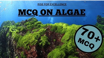 M.C.Q ON ALGAE | NEET | BIOLOGY | ALL EXAMS