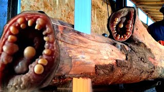 surprising discovery on two branches of a log at the sawmill