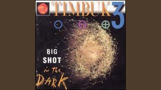 Video thumbnail of "Timbuk 3 - The Little Things"