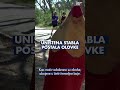 Jedinstvena umjetnička priča od uništenih stabala na Marjanu