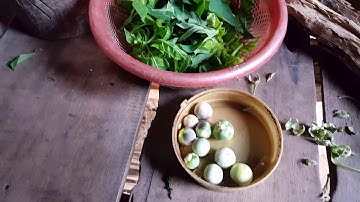 Lá mì cà đắng món ăn của người jrai ngon cực ¥₩