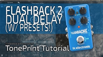 TonePrint Tuesday | 02: A dual function DELAY TonePrint with Presets?? for the FLASHBACK 2.