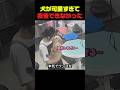 犬を愛しすぎるトリマー、仕事中こうなる#トリマー #犬 #犬動画 #ペットサロン #癒し動画