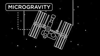 MICROGRAVITY