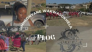 UMHLONYANE WAKWASOKHELA VLOG#southafricanyoutuber #umhlonyane#zulu 