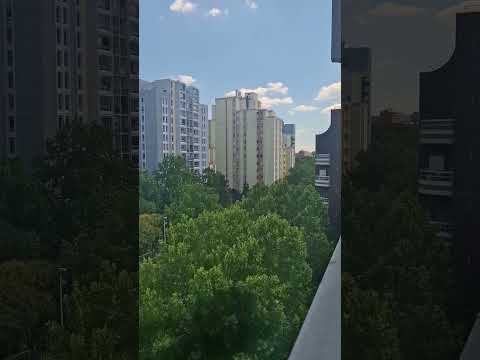 Image youtube