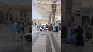 Madine Ki Ronak Masjid Nabvi