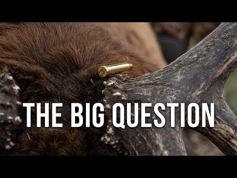 The Best Elk Hunting Cartridges - Randy Explains What Really Matters