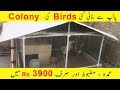 how to make PVC cage for hens or birds at home for poultry farming or birds farming in Urdu/Hindi