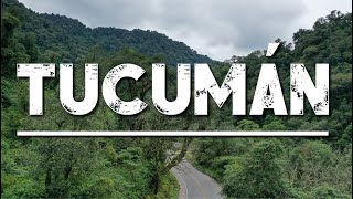 FINCA DE LIMONES EN TUCUMÁN.