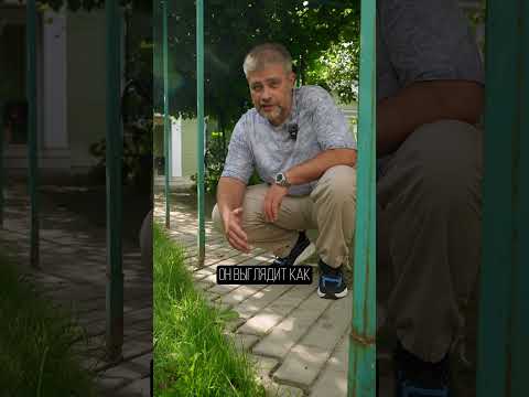 Как сделать КРАСИВЫЙ бордюр на участке ЗА КОПЕЙКИ? #стройка #строительство #бордюр