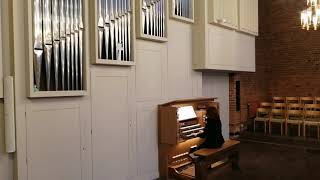 J. G. Walther - Organ Concerto in B minor, LV 133(after A. Vivaldi's Violin Concerto, RV 275)