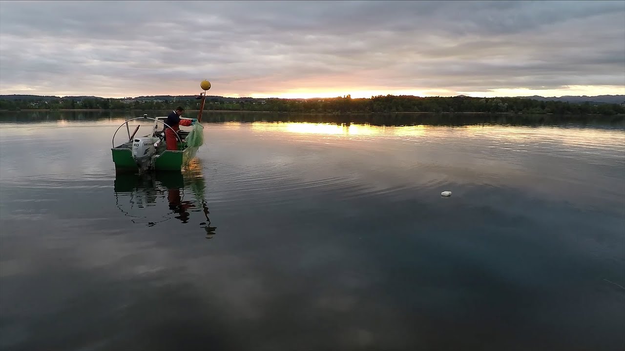 Der Berufsfischer vom Greifensee