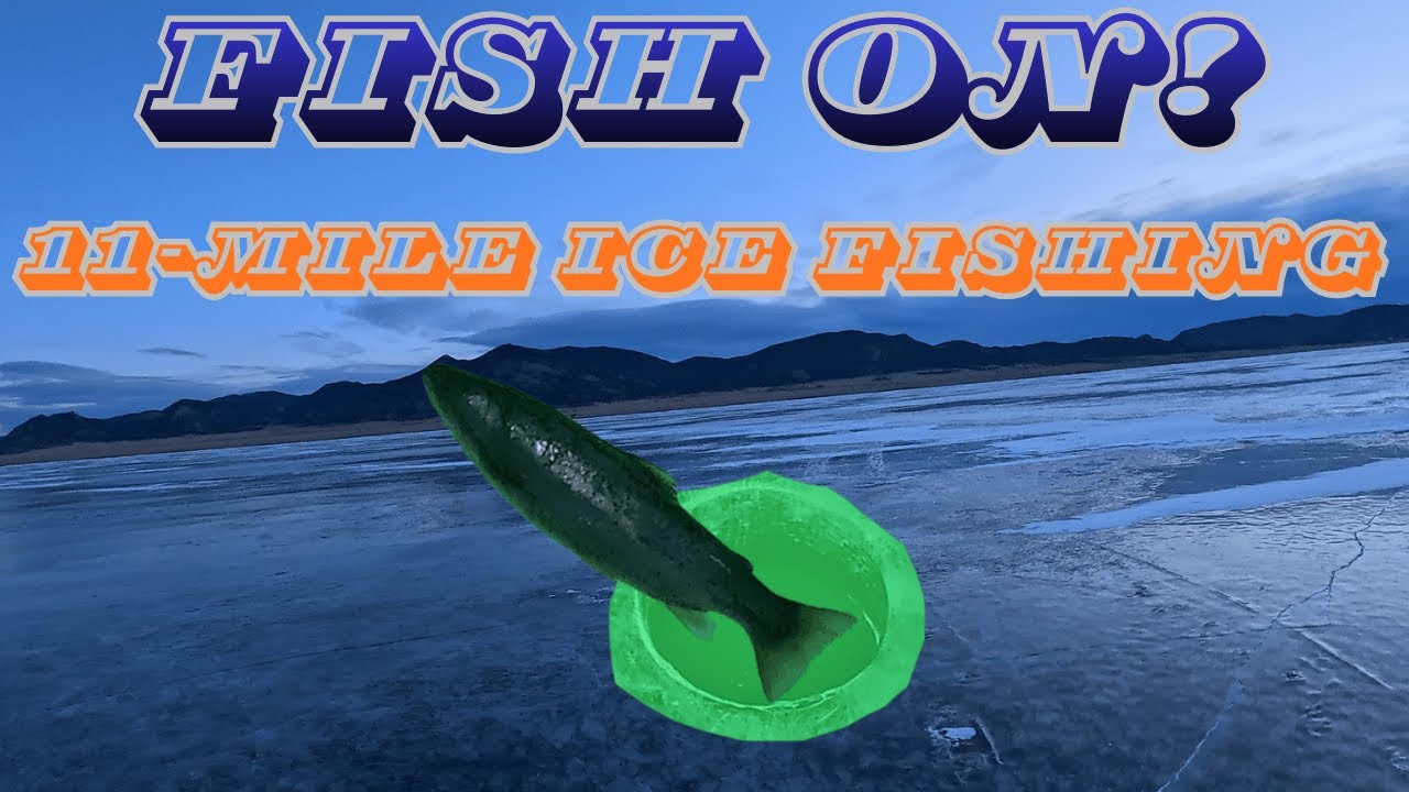 FISH ON! WE FINALLY GOT ONE 