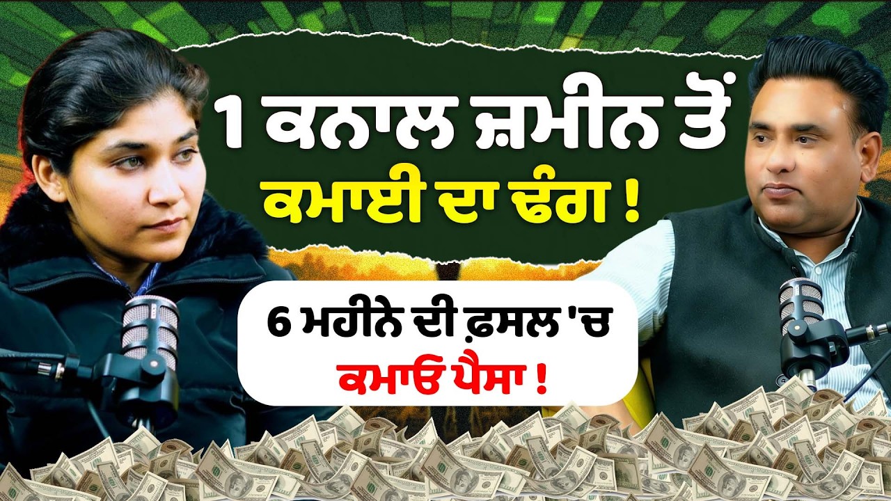 1 ਕਨਾਲ ਜ਼ਮੀਨ ਤੋਂ ਕਮਾਈ ਦਾ ਢੰਗ ! profitable farming | farming ideas | Flower farming | Sirlekh